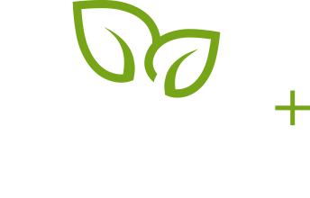 main logo